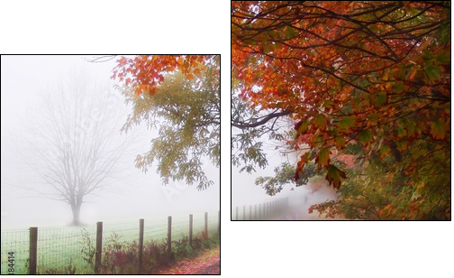 misty autumn morning - Two-piece canvas, Diptych