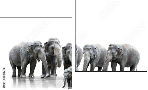 Elefantenherde - Two-piece canvas, Diptych