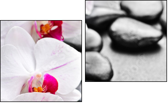 orchid - Two-piece canvas, Diptych
