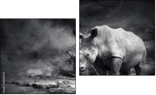 White Rhinoceros - Two-piece canvas, Diptych