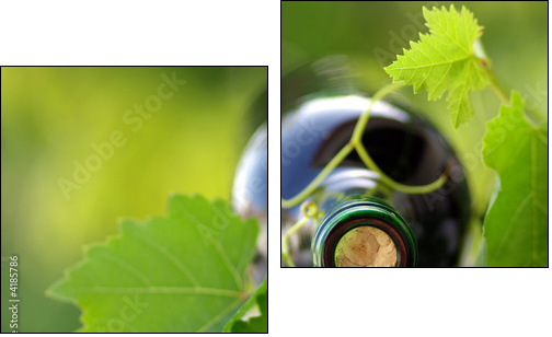 Bottle of wine between grapevine leves. - Two-piece canvas, Diptych
