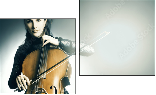 Cello musical instrument musician cellist playing - Two-piece canvas, Diptych