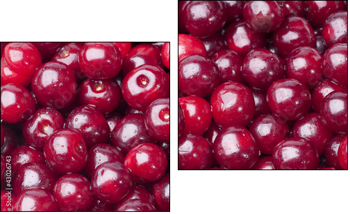 Cherry - Two-piece canvas, Diptych