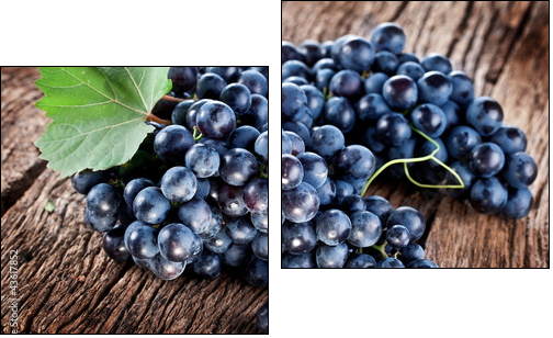 Grapes - Two-piece canvas, Diptych