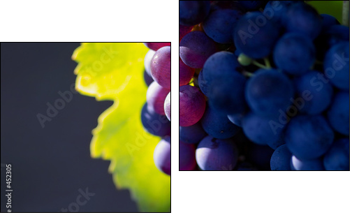 glowing dark wine grapes - Two-piece canvas, Diptych