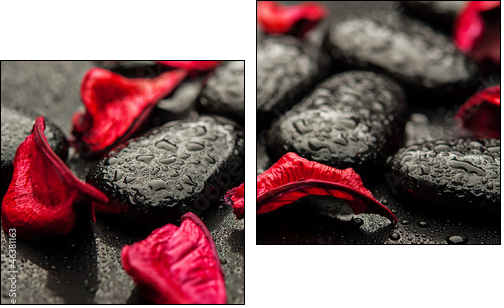 background spa. black stones and red petals with water droplets - Two-piece canvas, Diptych