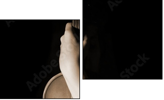 old violin - Two-piece canvas, Diptych