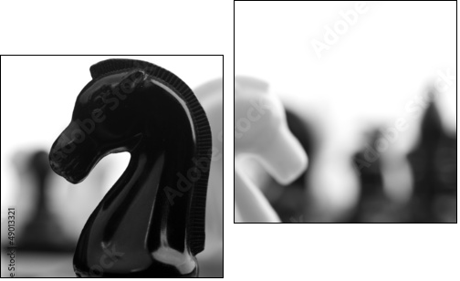 black and white knights - Two-piece canvas, Diptych