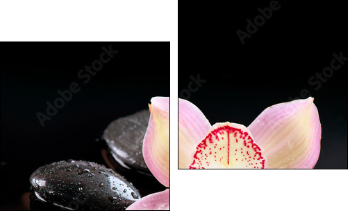 Zen Stones and Orchid Flower. Stone Massage - Two-piece canvas, Diptych