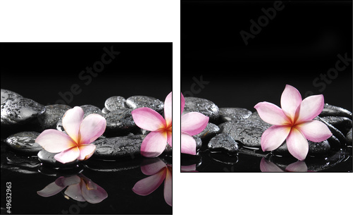 Set of three frangipani and black pebbles - Two-piece canvas, Diptych