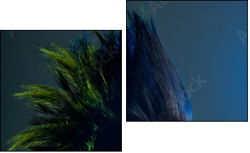 Beautiful woman with fashion hairstyle - Two-piece canvas, Diptych