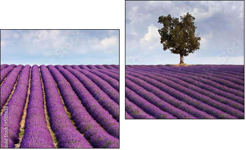 Lavender field and a lone tree - Two-piece canvas, Diptych