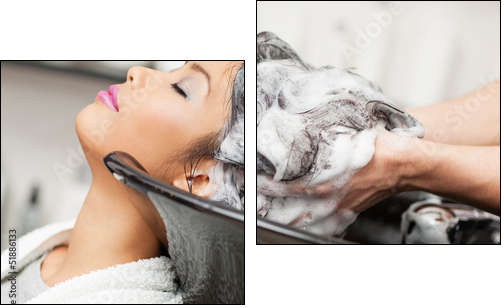 Hair Washing - Two-piece canvas, Diptych