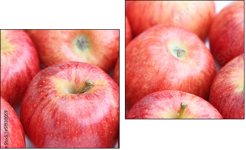 viele rote Ãpfel - Two-piece canvas, Diptych