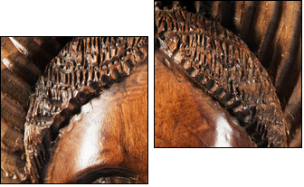 Carved face in the wood - Two-piece canvas, Diptych
