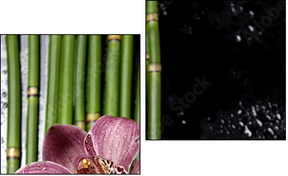 stock image of the spa concept - Two-piece canvas, Diptych