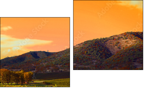 Vineyard Sunset - Two-piece canvas, Diptych