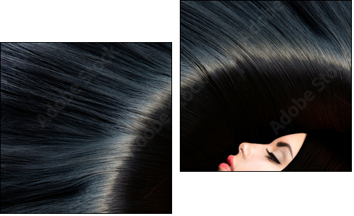 Healthy Long Black Hair. Beauty Brunette Woman - Two-piece canvas, Diptych