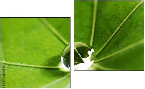 Water drop on green leaf - Two-piece canvas, Diptych