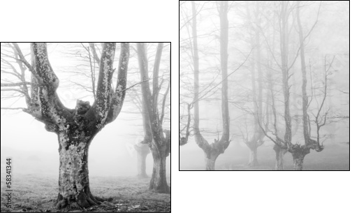 creepy forest with scary trees - Two-piece canvas, Diptych