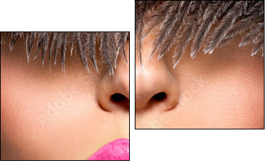  Closeup Beautiful female lips with pink  lipstick - Two-piece canvas, Diptych