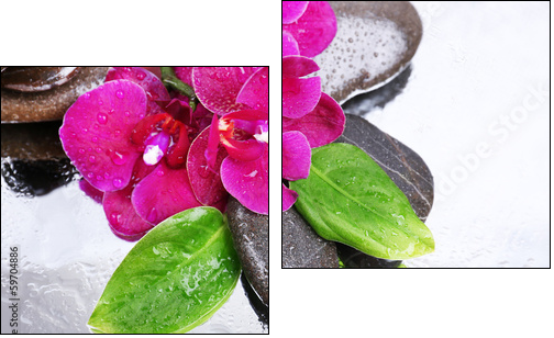 Composition with beautiful blooming orchid with water drops and - Two-piece canvas, Diptych