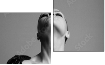 nude elegant girl with the gloves. Studio fashion photo. - Two-piece canvas, Diptych