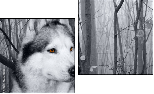 wolf in the woods - Two-piece canvas, Diptych