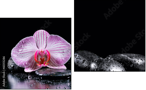 Orchid flower with zen stones on black background - Two-piece canvas, Diptych