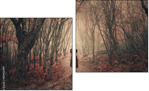 Woman and foggy forest. - Two-piece canvas, Diptych