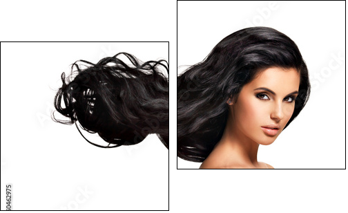 Beautiful brunette woman with long black  hair - Two-piece canvas, Diptych