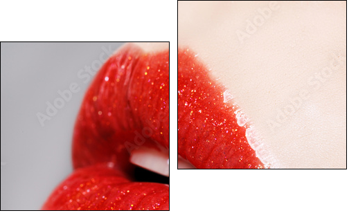Beautiful female with red shiny lips close up - Two-piece canvas, Diptych