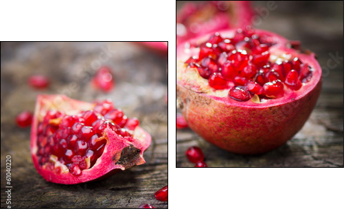 Pomegranate - Two-piece canvas, Diptych