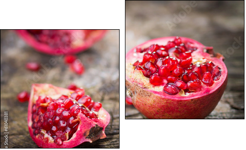 Pomegranate - Two-piece canvas, Diptych