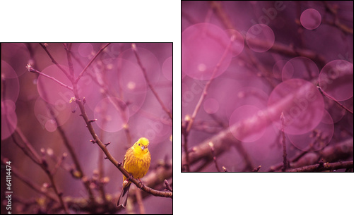 Yellowhammer siiting on a branch in a purple inviroment - Two-piece canvas, Diptych