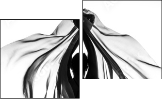 Butterfly effect - Two-piece canvas, Diptych