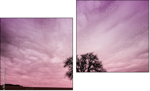 Tree Silhouette with Colorful Pink Sky - Two-piece canvas, Diptych