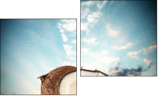 coconuts - Two-piece canvas, Diptych