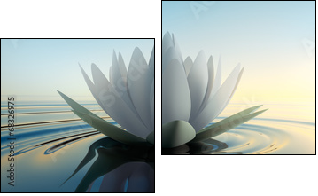 LotusblÃ¼te im See - Two-piece canvas, Diptych