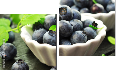 Blaubeeren - Two-piece canvas, Diptych