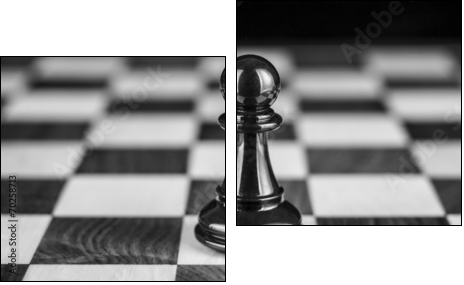 PeÃ³n - Two-piece canvas, Diptych