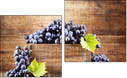 grape in wooden box - Two-piece canvas, Diptych