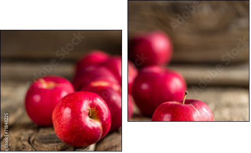 Apples - Two-piece canvas, Diptych