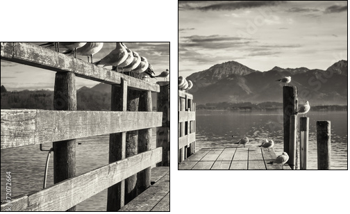old wooden jetty - Two-piece canvas, Diptych