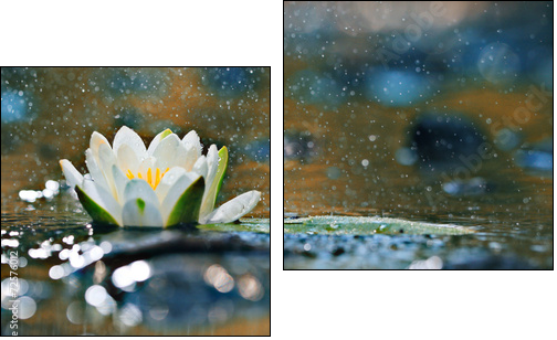 lily pads on the water - Two-piece canvas, Diptych