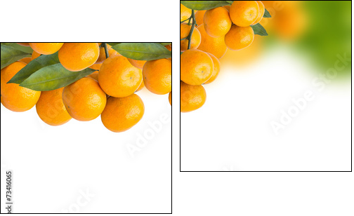 tangerine trees - Two-piece canvas, Diptych