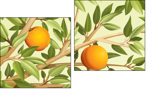 Peaches - Two-piece canvas, Diptych