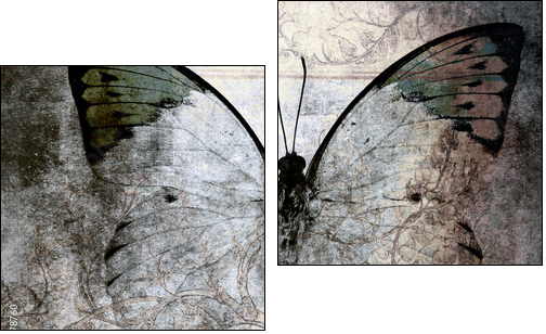 butterfly - Two-piece canvas, Diptych