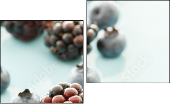 fresh berries - Two-piece canvas, Diptych