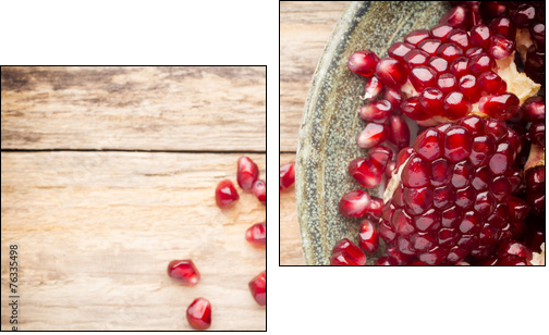 Pomegranate. - Two-piece canvas, Diptych